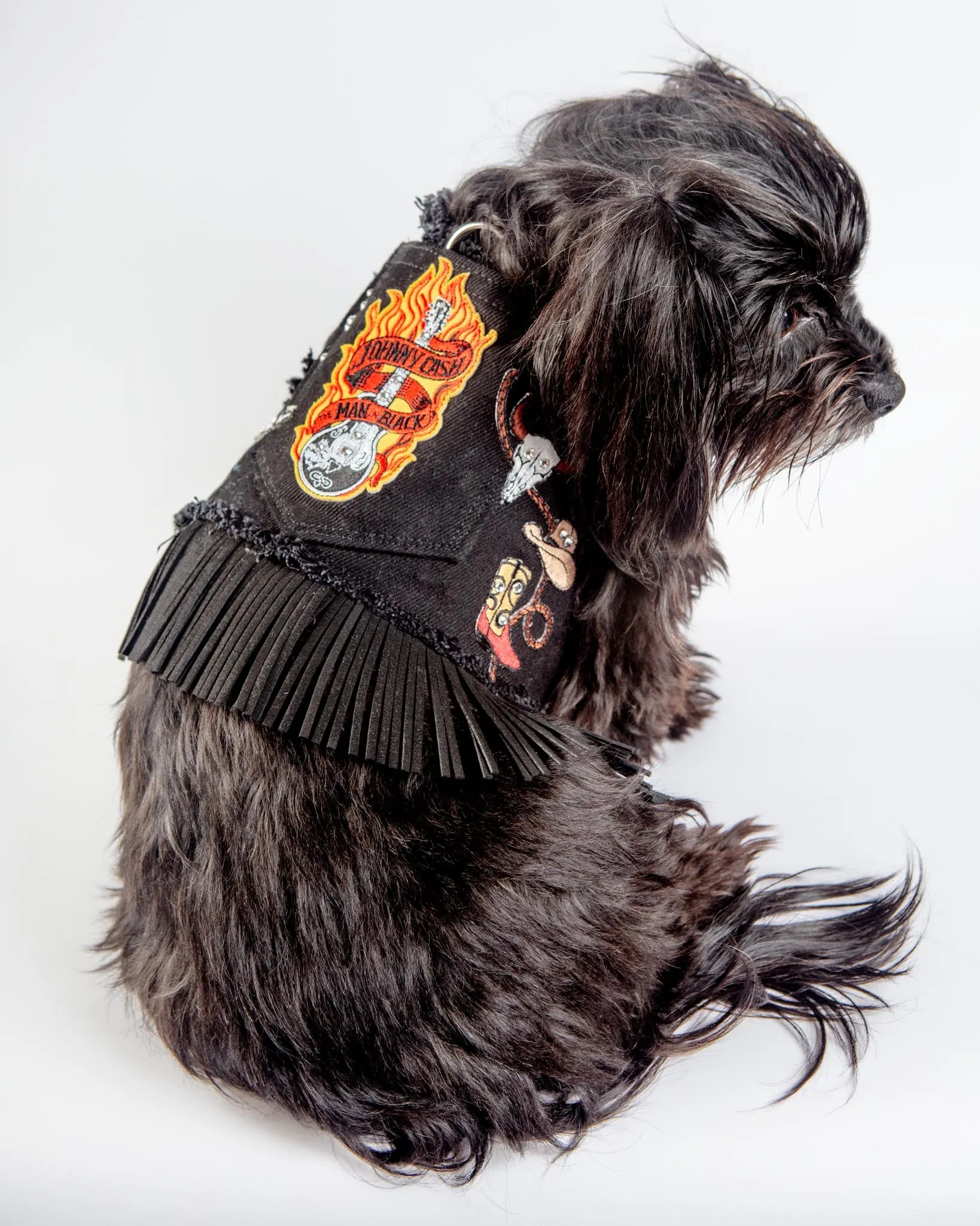 Black Denim Cowboy Dog Harness (Made in the USA)