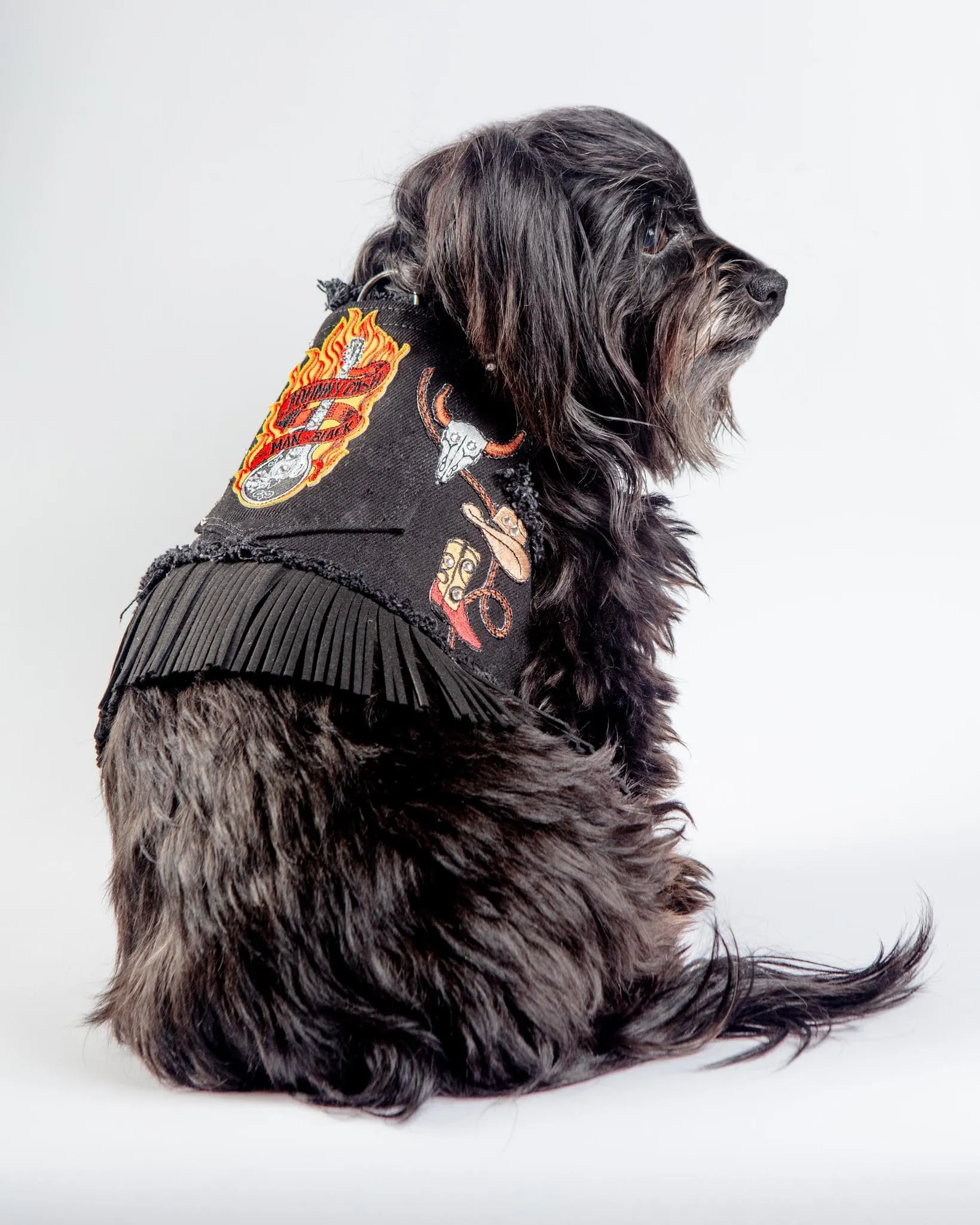 Black Denim Cowboy Dog Harness (Made in the USA)