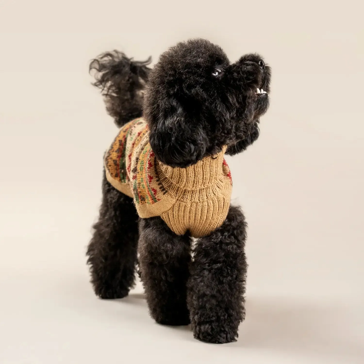 Fair Isle Tan Alpaca Dog Sweater