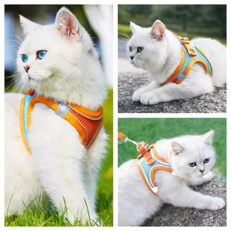 Harness and Leash Set