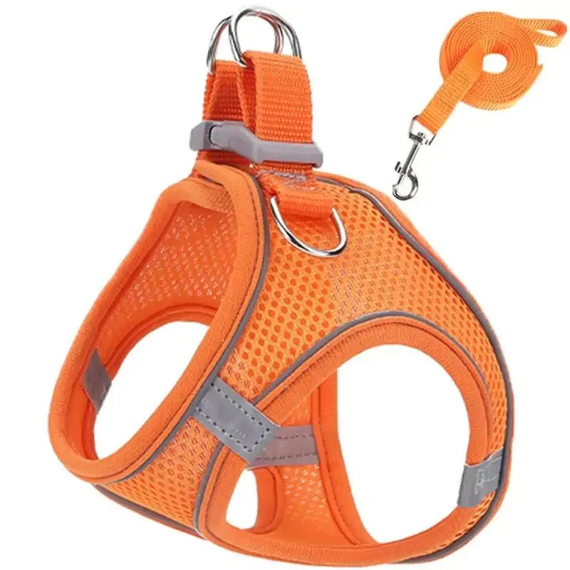 Harness and Leash Set