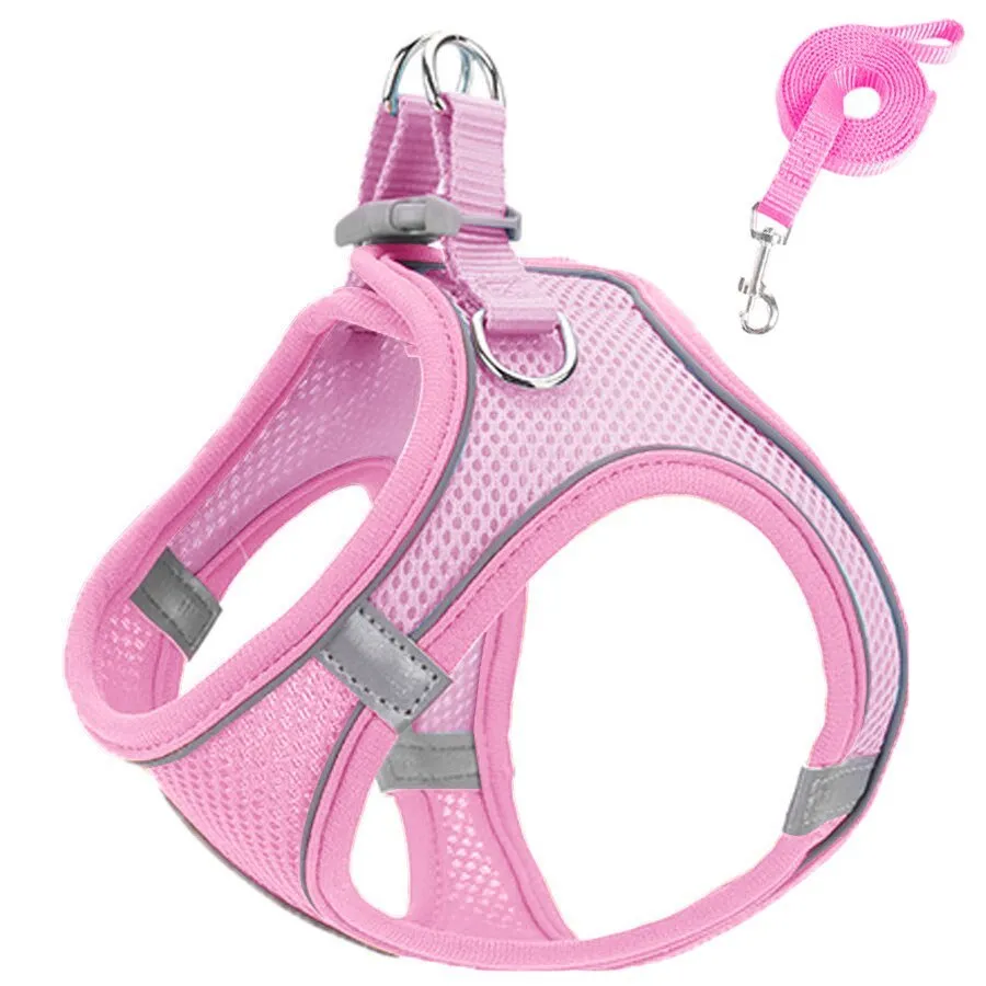 Harness and Leash Set