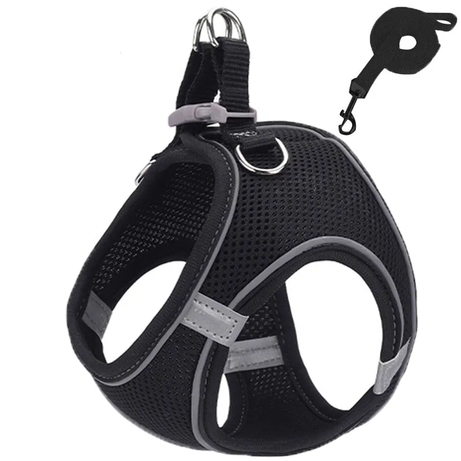 Harness and Leash Set