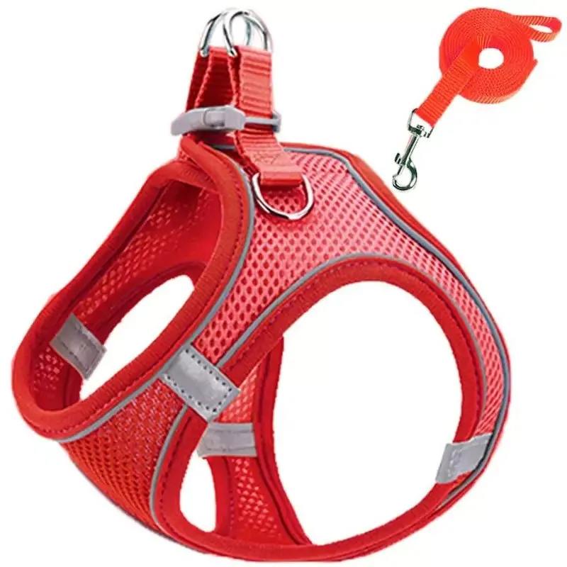 Harness and Leash Set