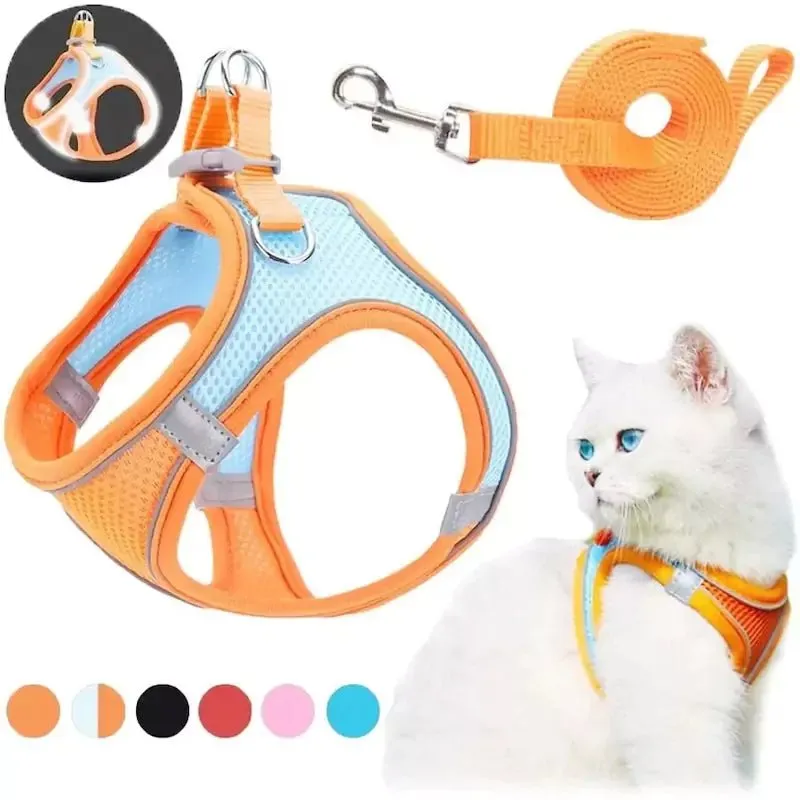 Harness and Leash Set