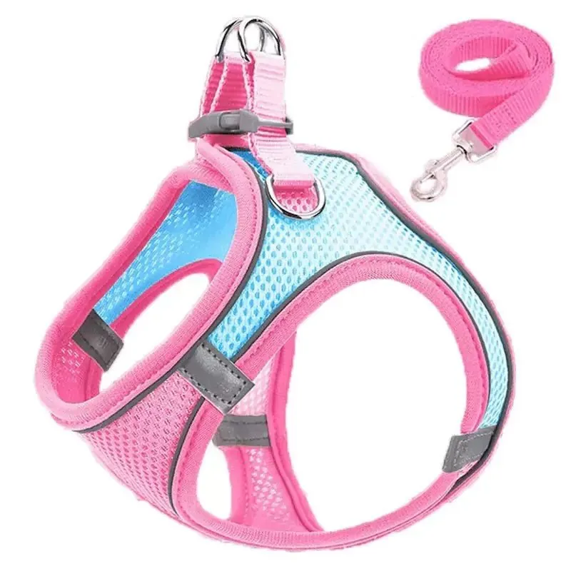 Harness and Leash Set