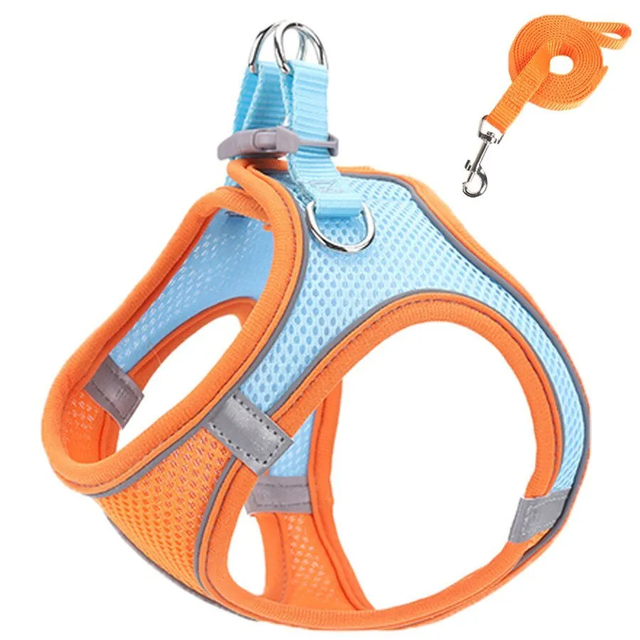 Harness and Leash Set