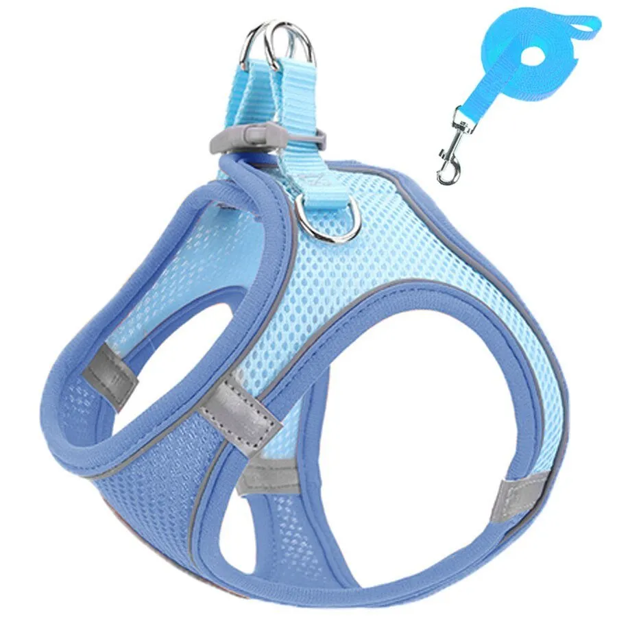 Harness and Leash Set