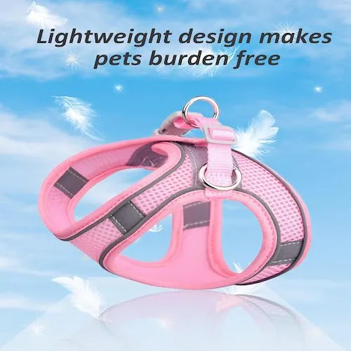 Harness and Leash Set