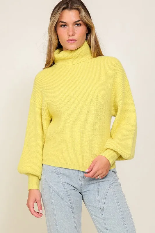 Louise Rib Knitted Turtleneck Sweater