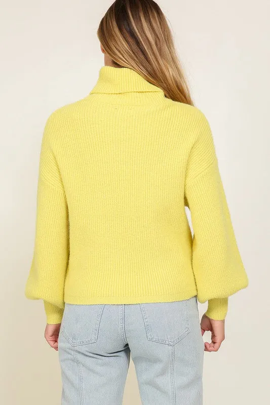 Louise Rib Knitted Turtleneck Sweater