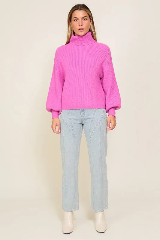 Louise Rib Knitted Turtleneck Sweater