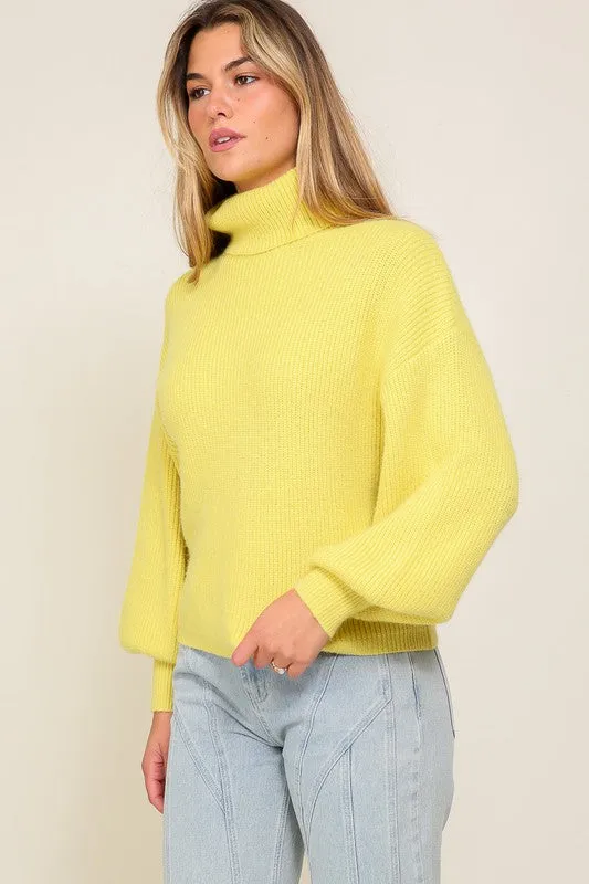 Louise Rib Knitted Turtleneck Sweater