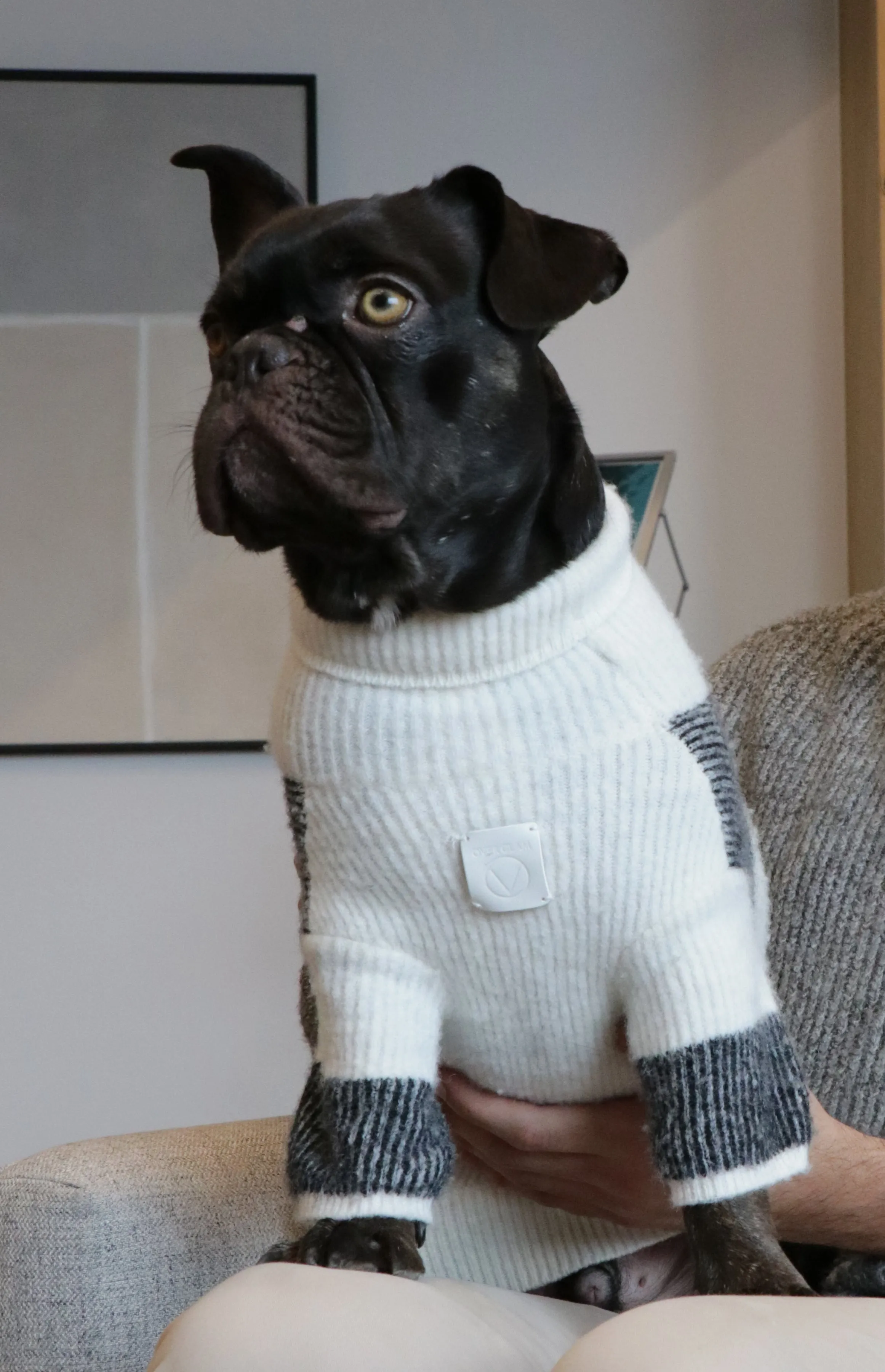 Turtleneck contrast stripe Jumper