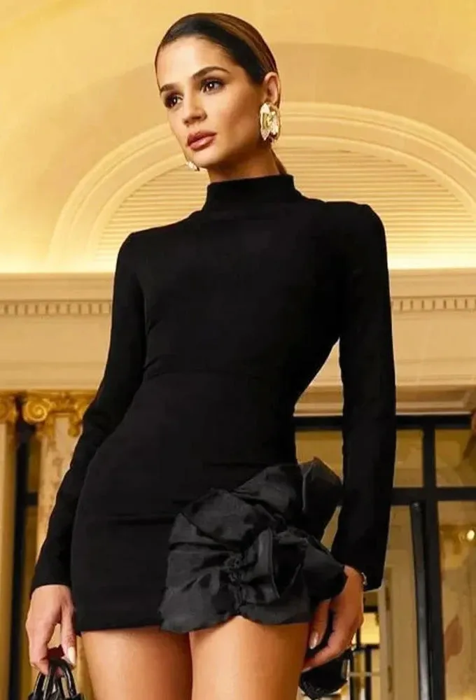 Turtleneck Long Sleeve Mini Dress Black Fashion Sexy Clubbing Dresses for Woman 2024 Autumn Clothes C16-CE25